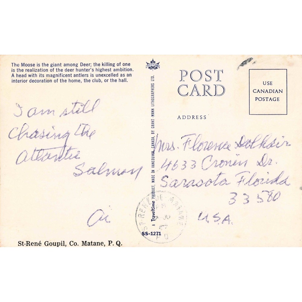 Vintage Bull Moose Postcard St-René Goupil Quebec Canada SS-1271 1970 Postmark - Picture 2 of 2